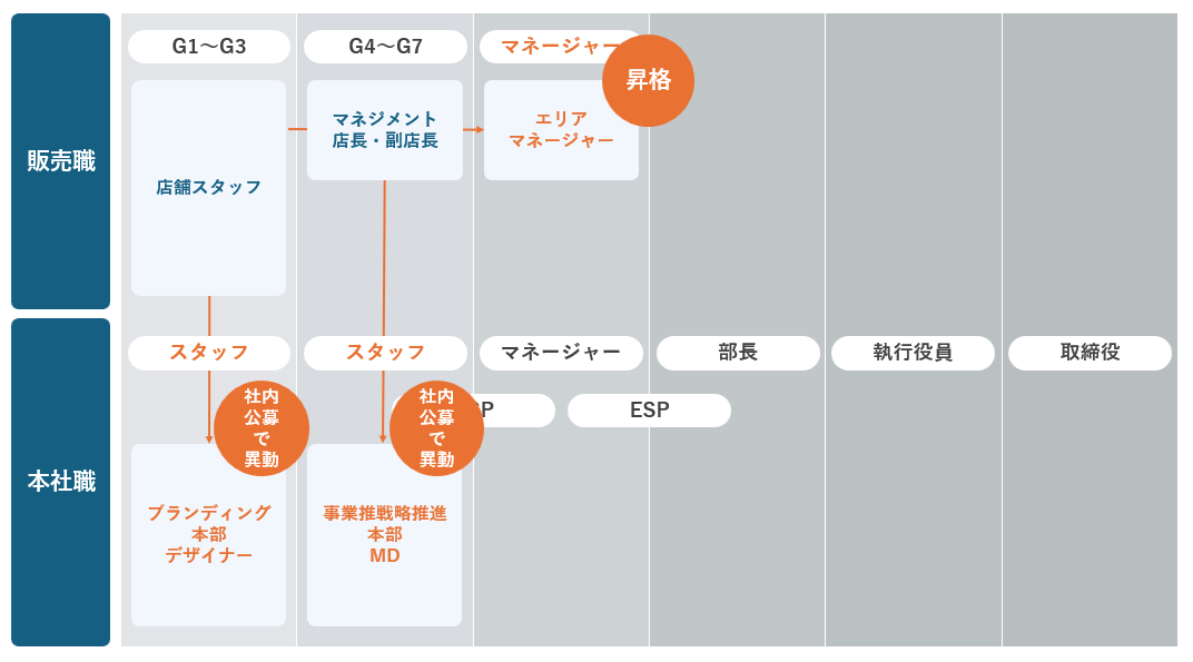 株式会社キューブ　CUBE CO., LTD.　キャリアパス例